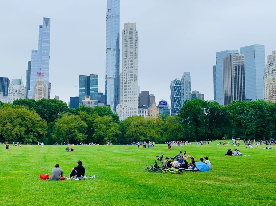 IMG_3343.jpg?type=w966