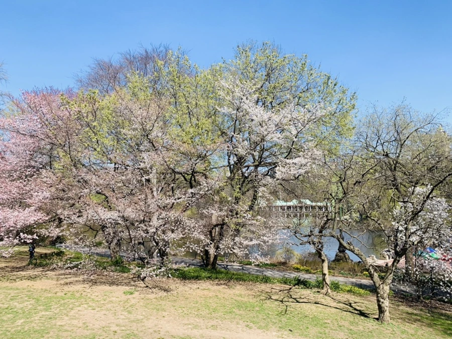 IMG_8952.jpg?type=w966