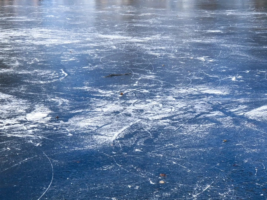 IMG_7670.jpg?type=w966