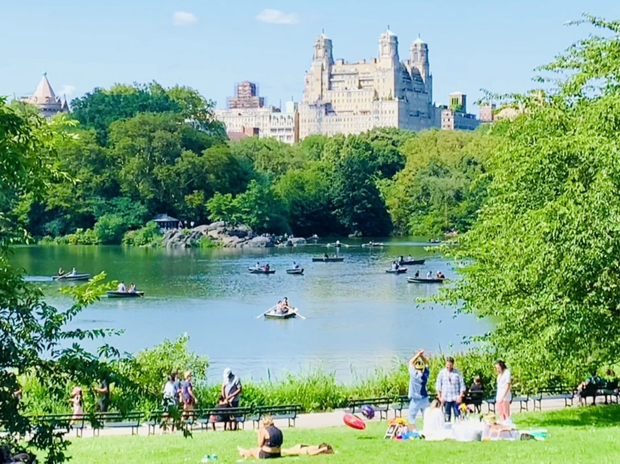 IMG_4443.jpg?type=w966