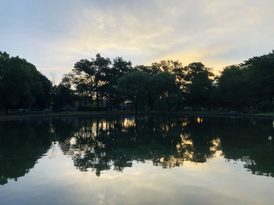 IMG_4289.jpg?type=w966