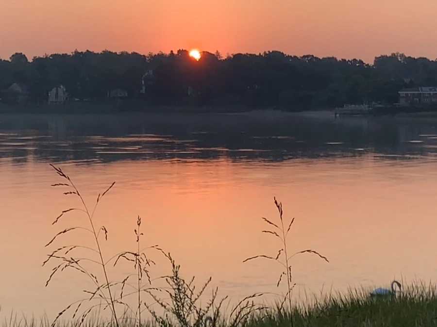 IMG_5043.jpg?type=w966