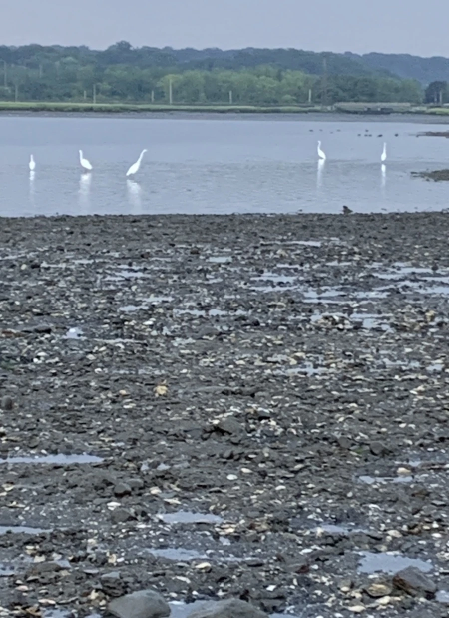 IMG_8196.jpg?type=w966