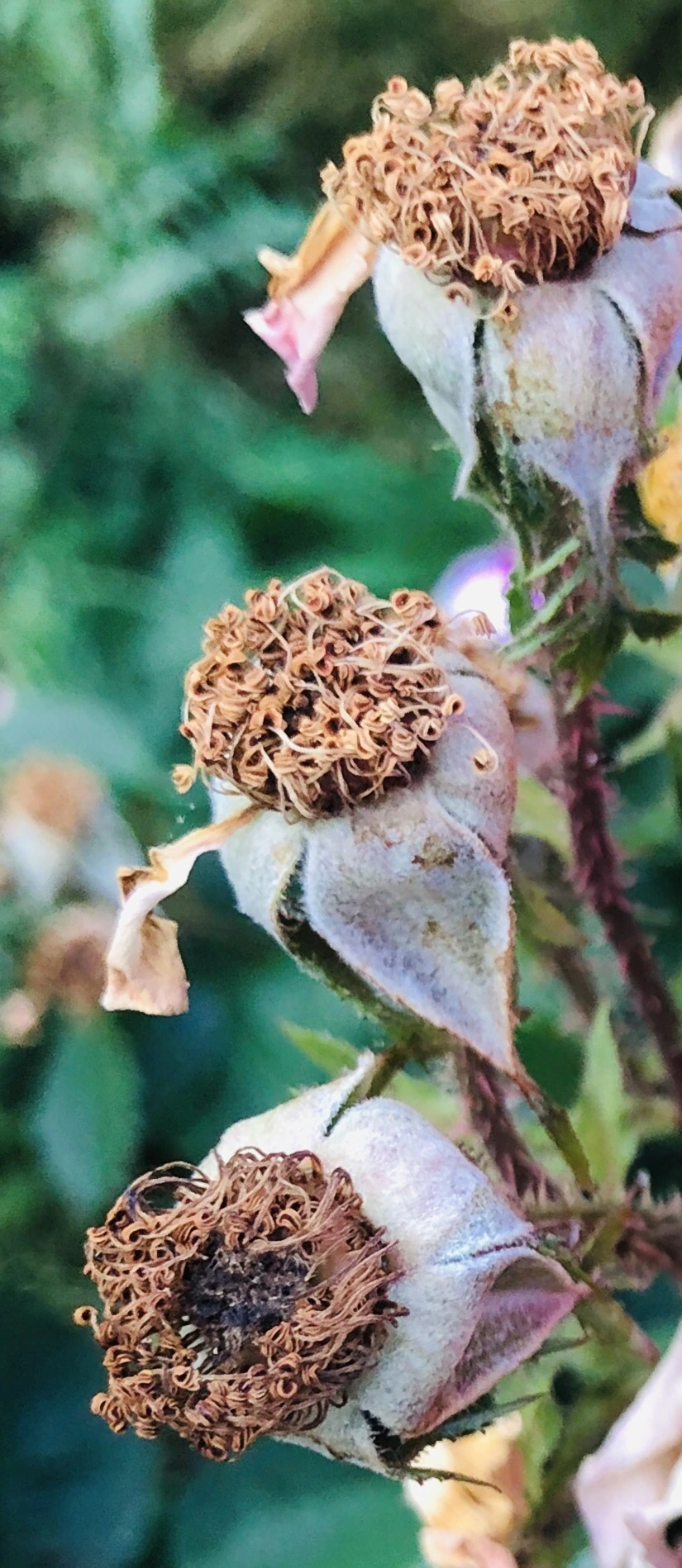 IMG_9643.jpg?type=w966