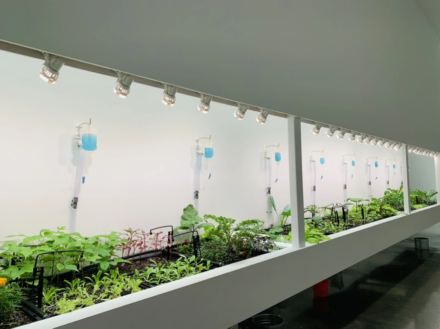 IMG_2888.jpg?type=w966