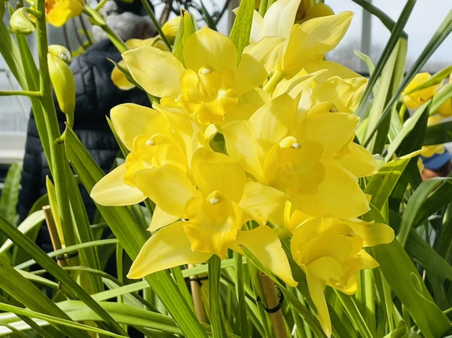 IMG_4461.jpg?type=w966