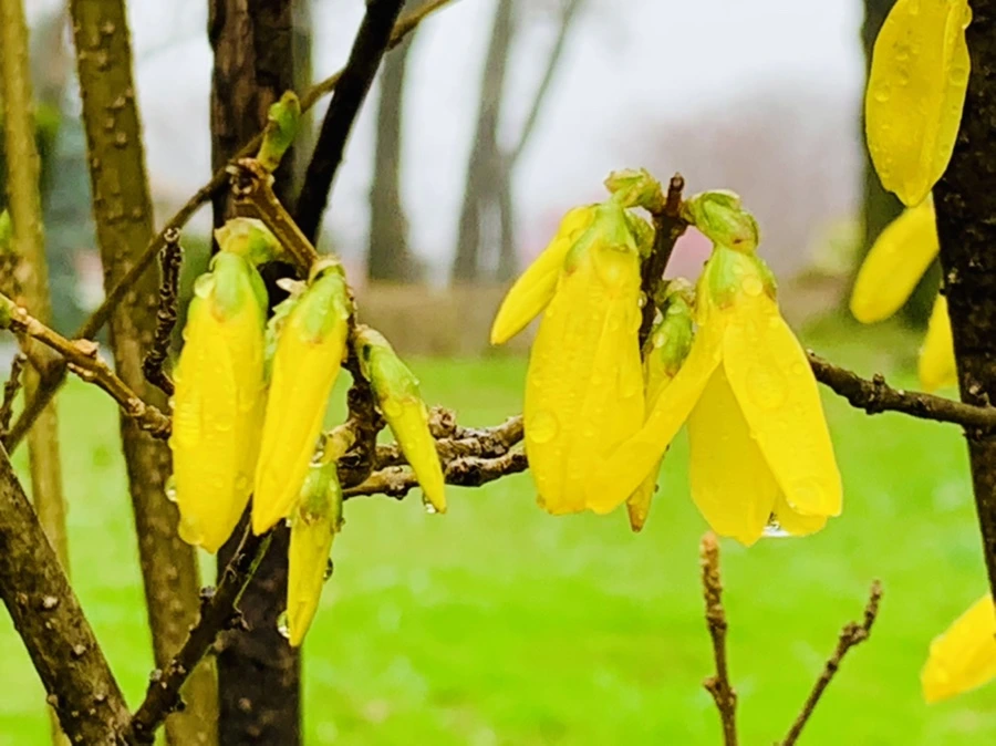 IMG_5072.jpg?type=w966