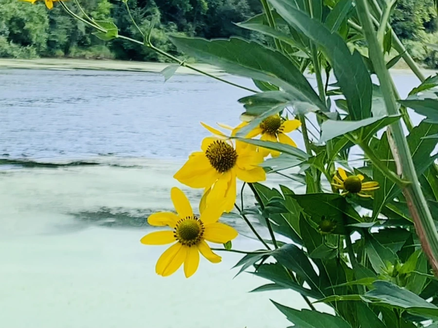 IMG_7604.jpg?type=w966