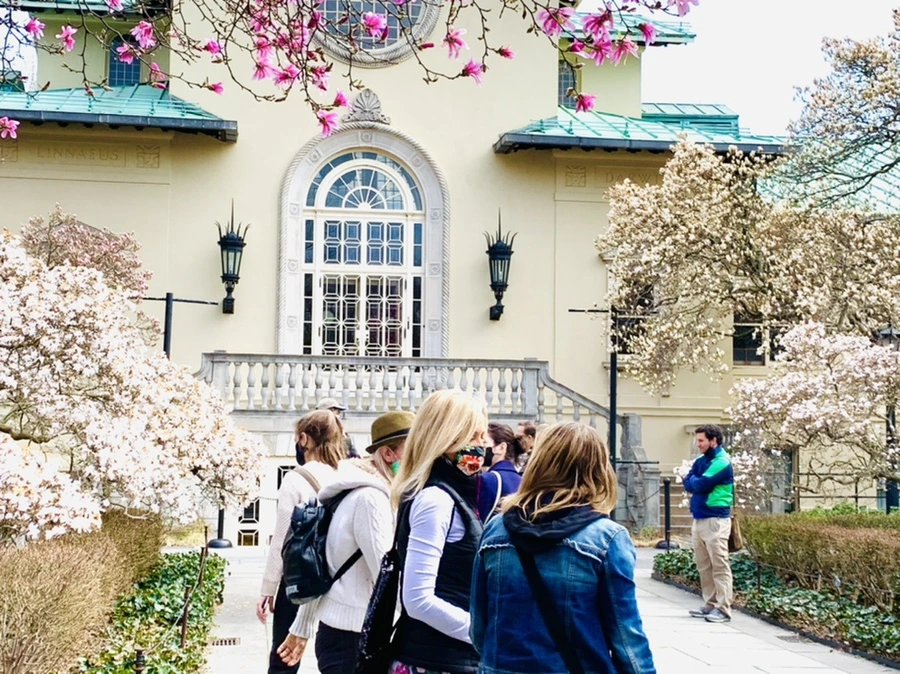 IMG_7234.jpg?type=w966