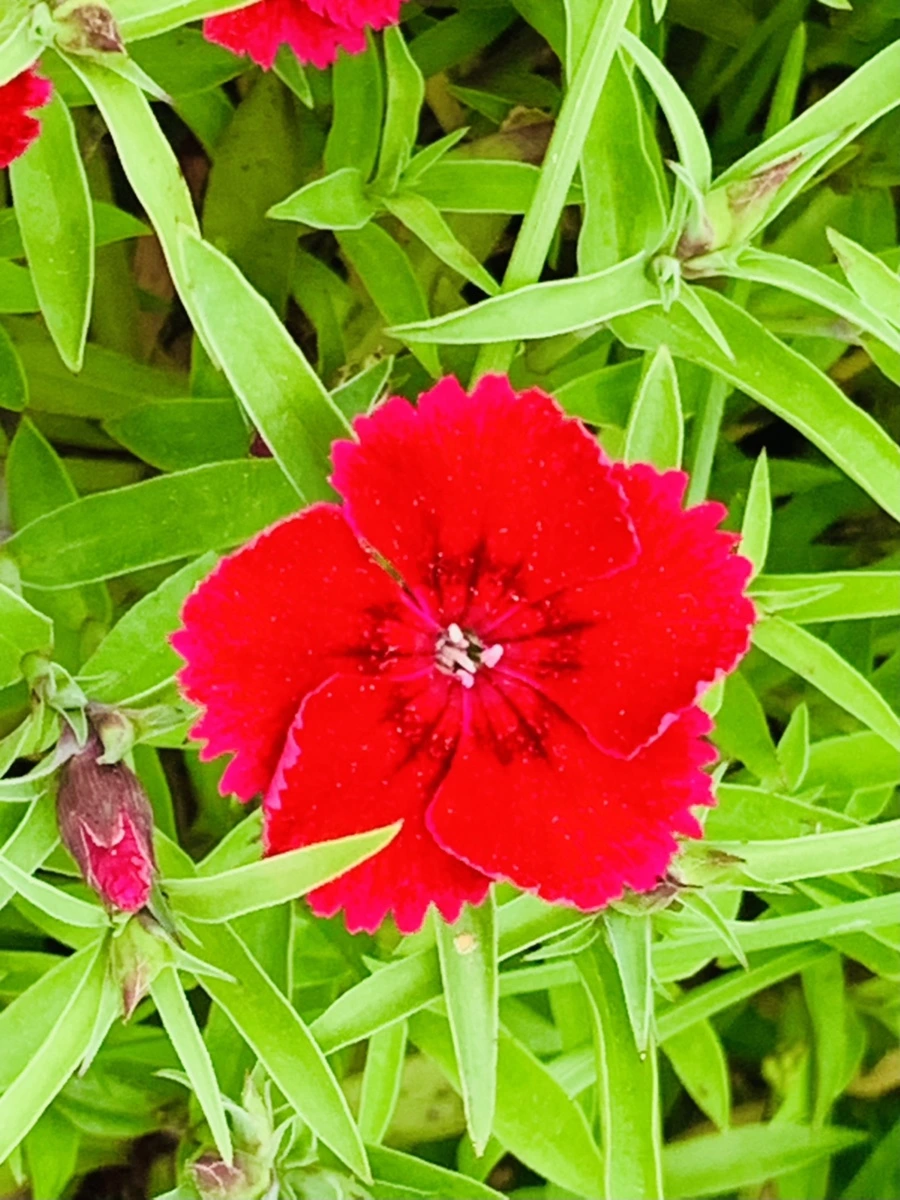 IMG_9023.jpg?type=w966