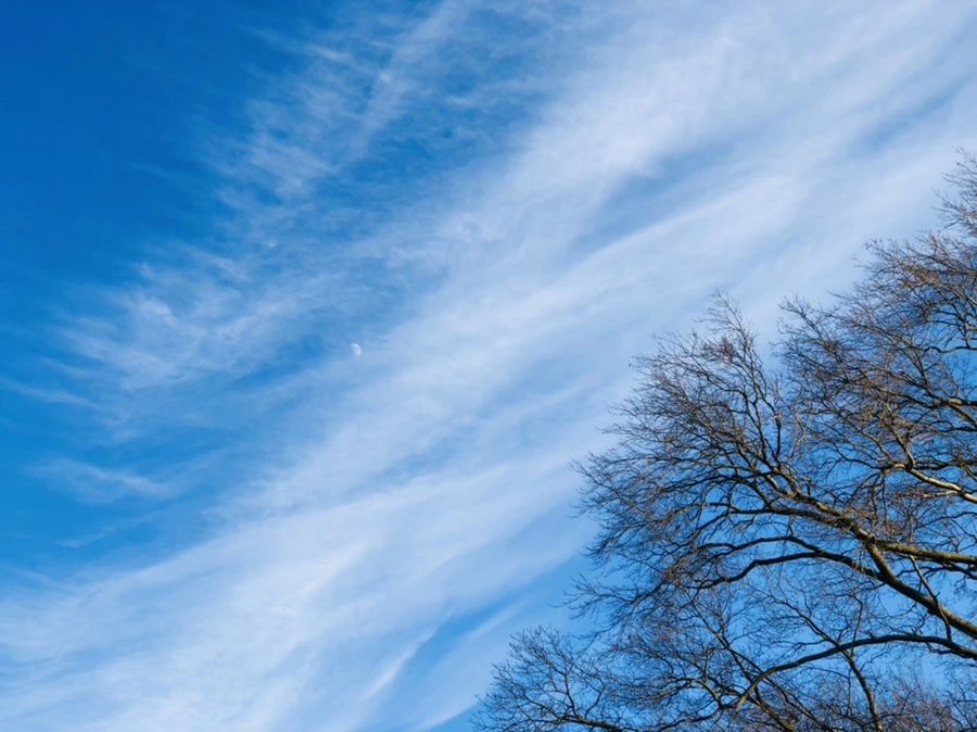 IMG_4826.jpg?type=w966