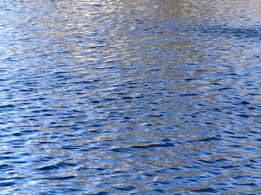 IMG_3830.jpg?type=w966