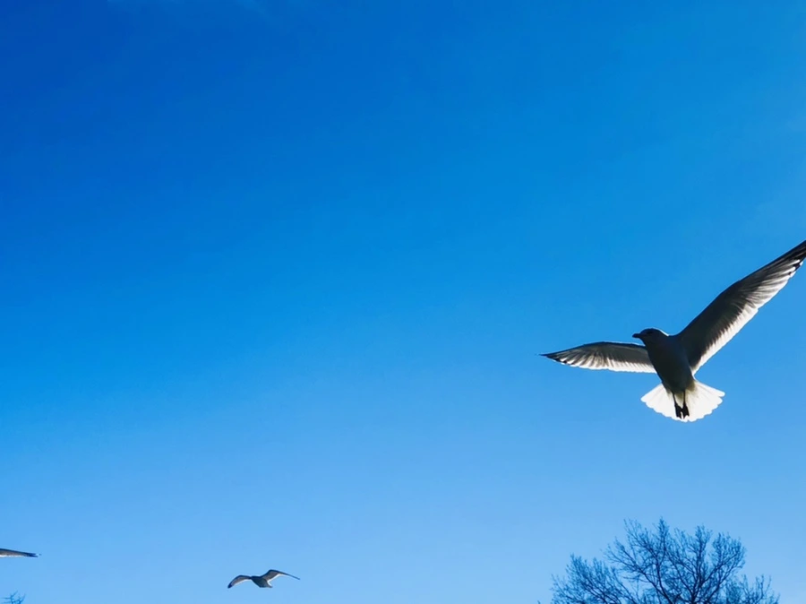 IMG_5399.jpg?type=w966