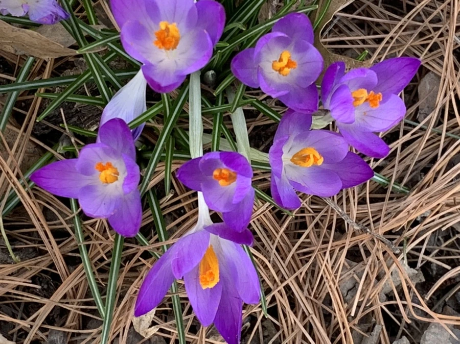 IMG_1292.jpg?type=w966