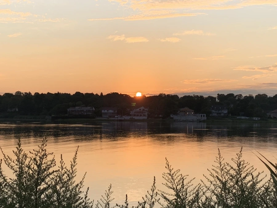 IMG_1265.jpg?type=w966