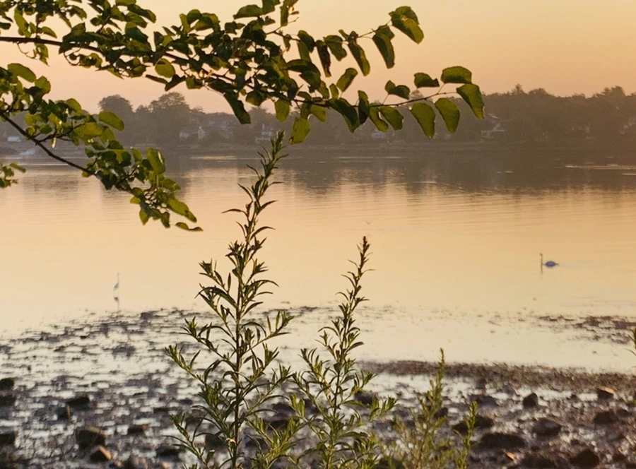 IMG_4441.jpg?type=w966