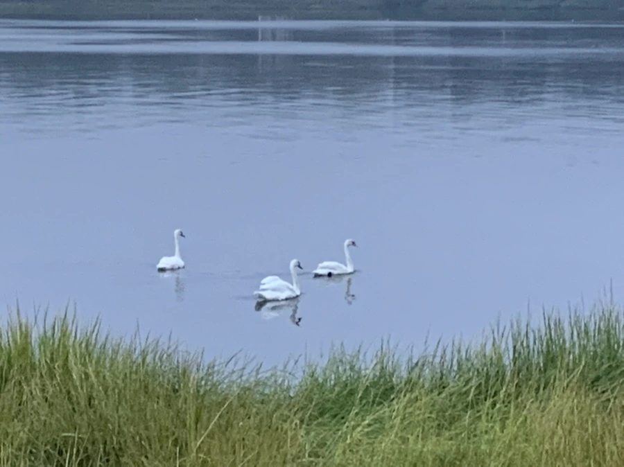 IMG_6647.jpg?type=w966