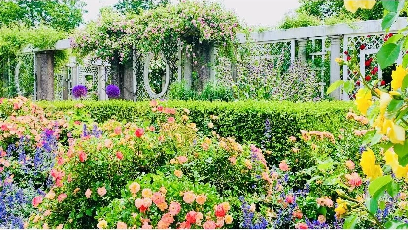 0fv-enThrGSgHipuBwXBYzit9MA