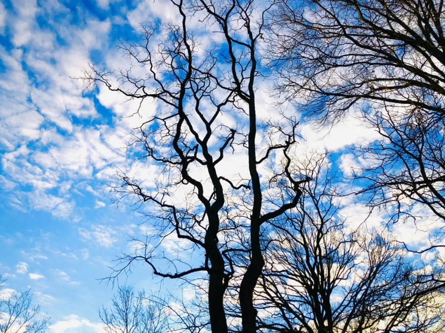 IMG_4871.jpg?type=w966