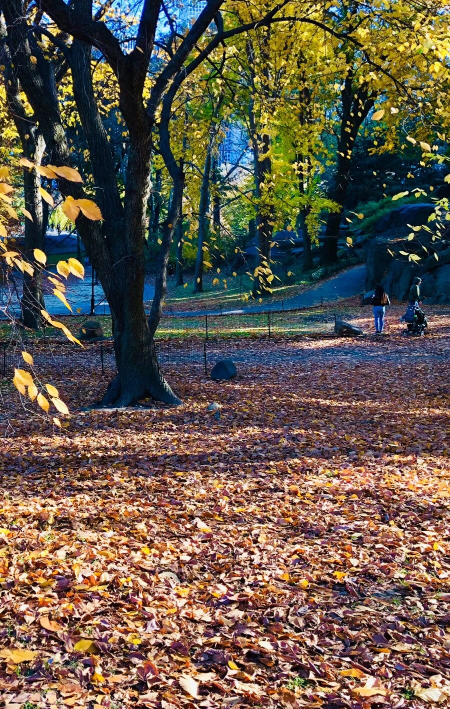 IMG_7656.jpg?type=w966