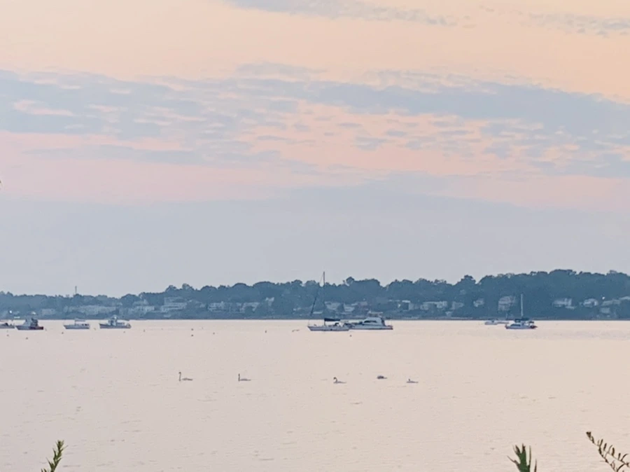 IMG_2296.jpg?type=w966