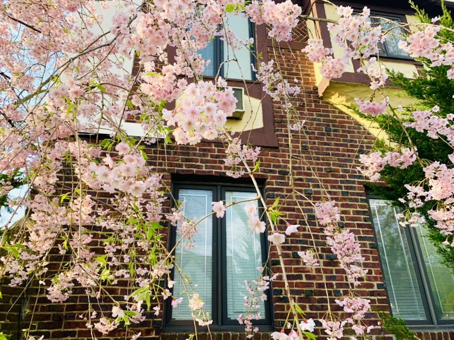 IMG_3776.jpg?type=w966