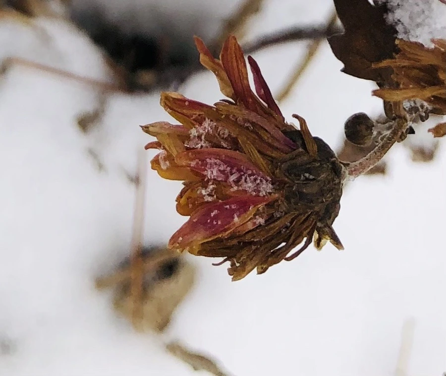 n5_mypmCeen2X3AuGEp4QA87atM