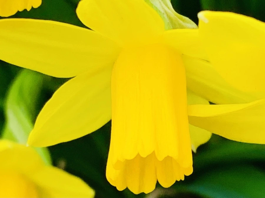 IMG_3478.jpg?type=w966