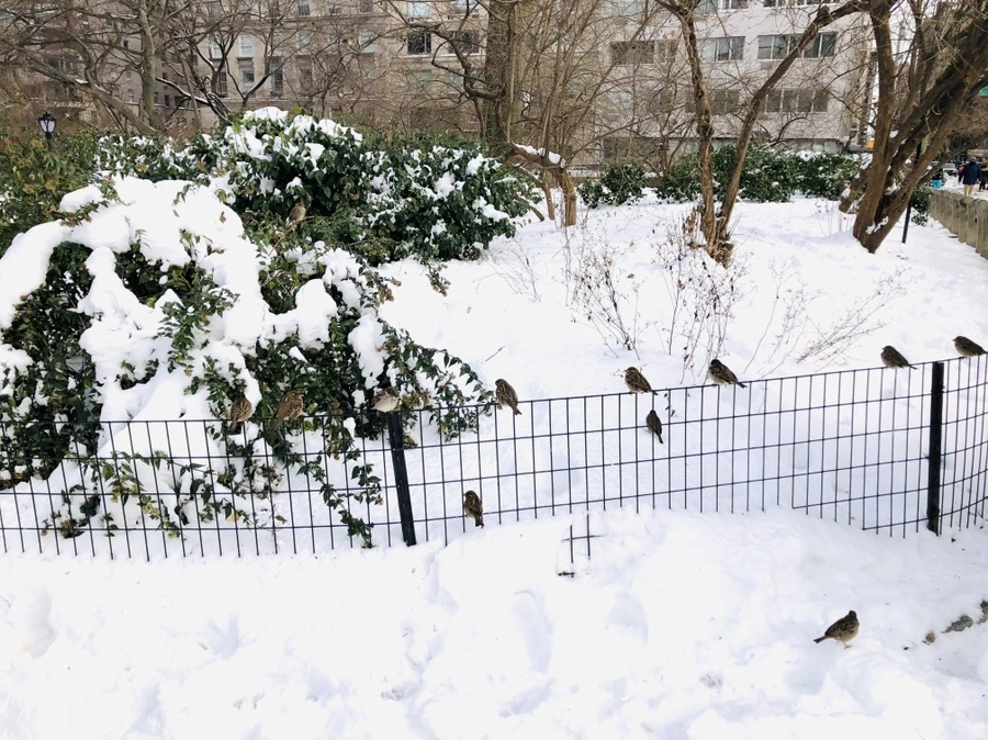 IMG_7231.jpg?type=w966