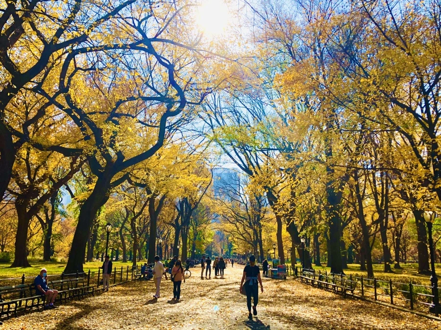 IMG_4294.jpg?type=w966