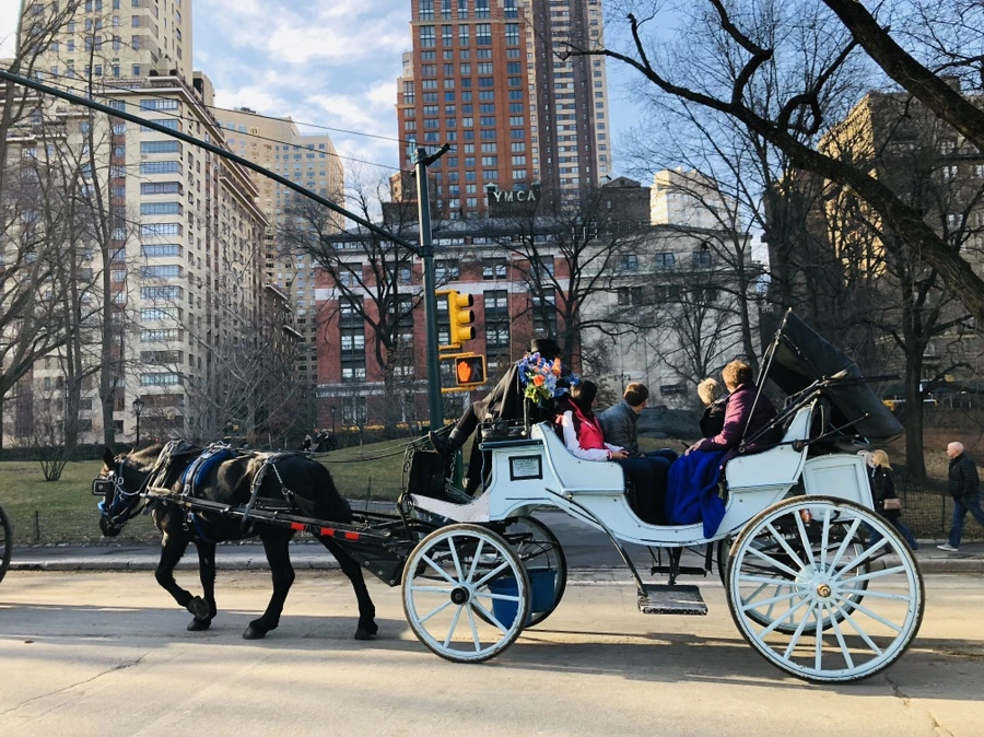 IMG_9427.jpg?type=w966