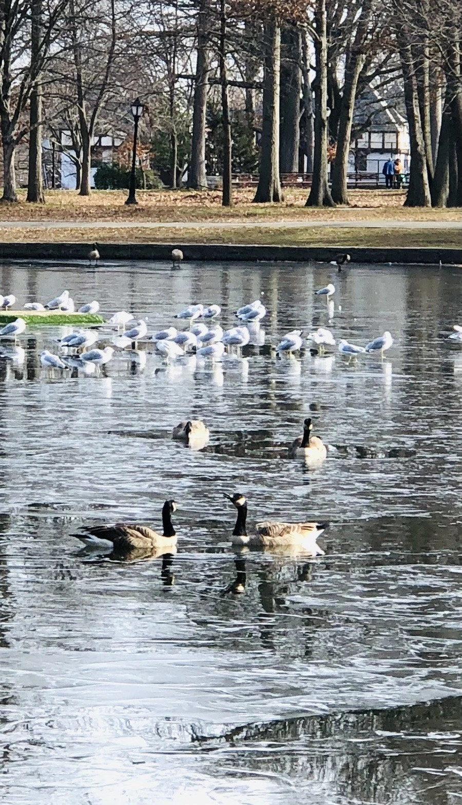 vlpTqrkjeaDeJzVs4GKdEis9kbI