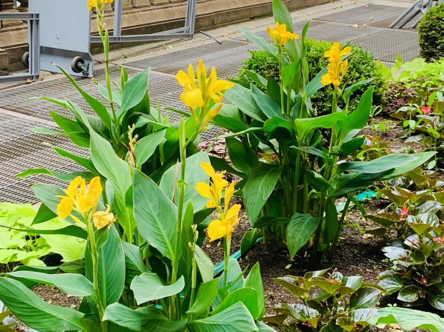 IMG_2192.jpg?type=w966