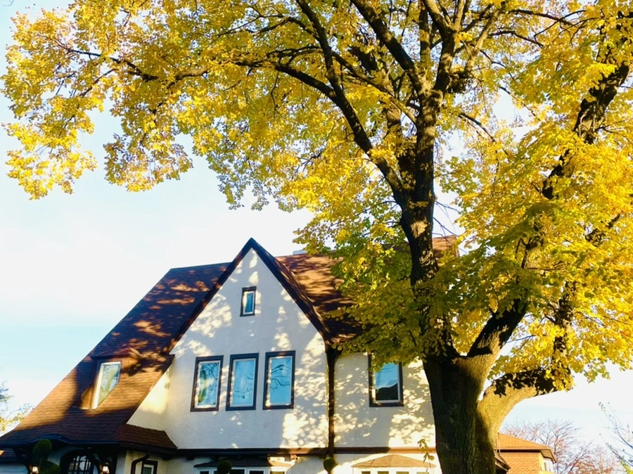 IMG_5978.jpg?type=w966