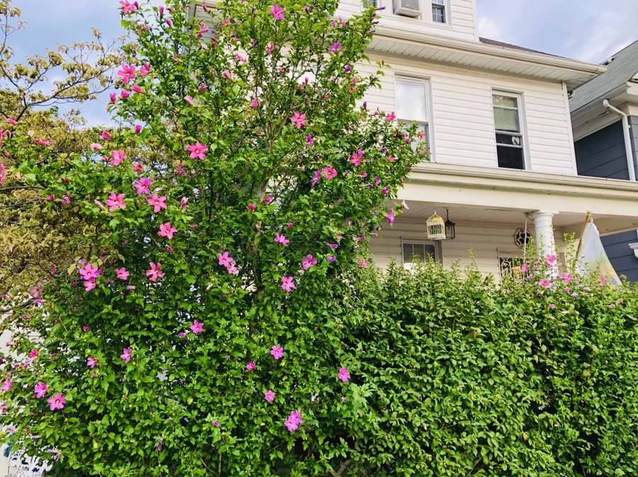 IMG_3997.jpg?type=w966