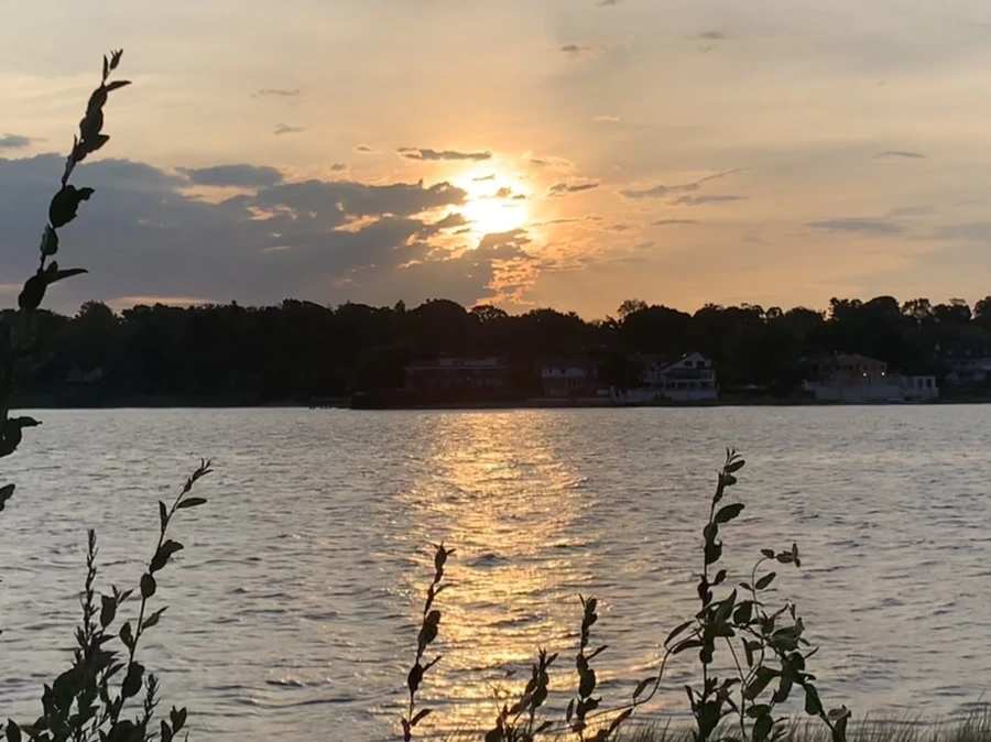 IMG_1794.jpg?type=w966