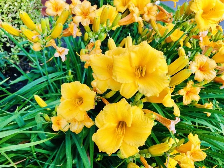 Oub98n8QilOK0cox_wv6OdPEQQ4