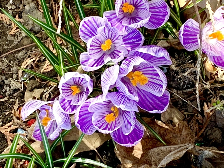 IMG_3129.jpg?type=w966