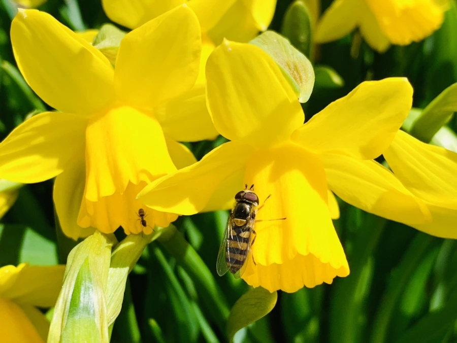 IMG_3258.jpg?type=w966