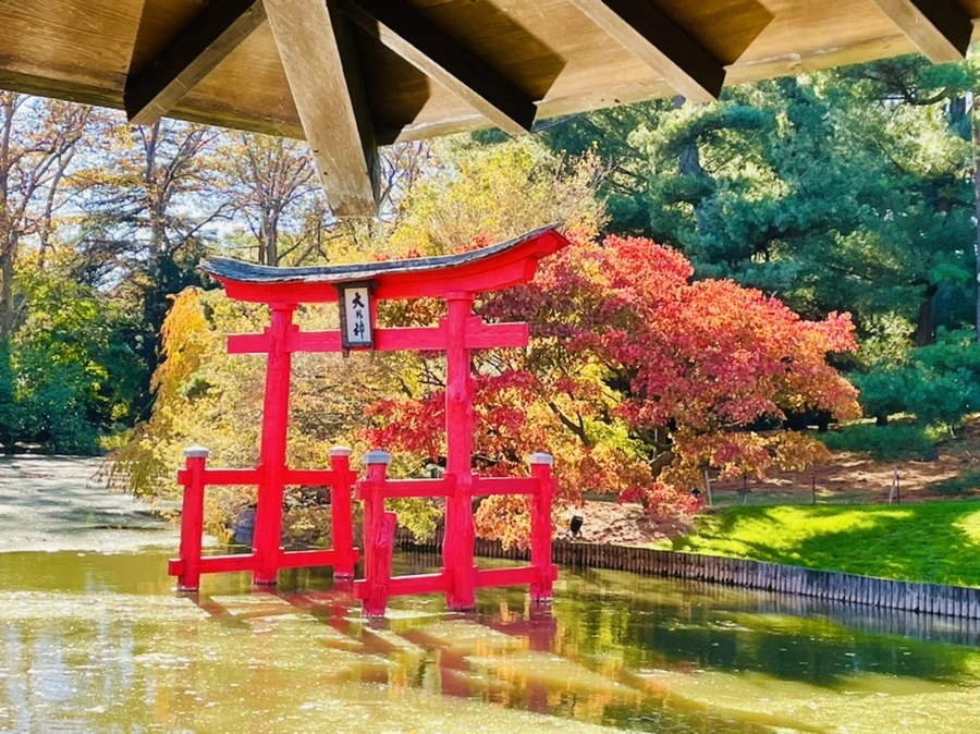 IMG_2022.jpg?type=w966