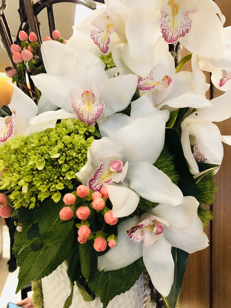 IMG_3533.jpg?type=w966