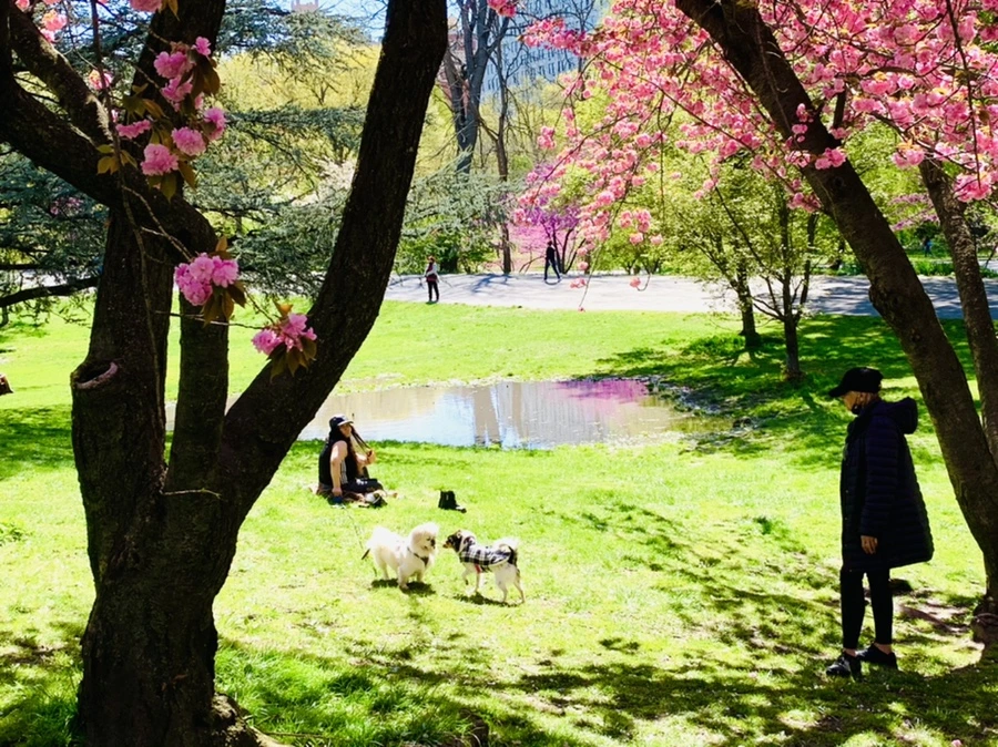 IMG_5881.jpg?type=w966