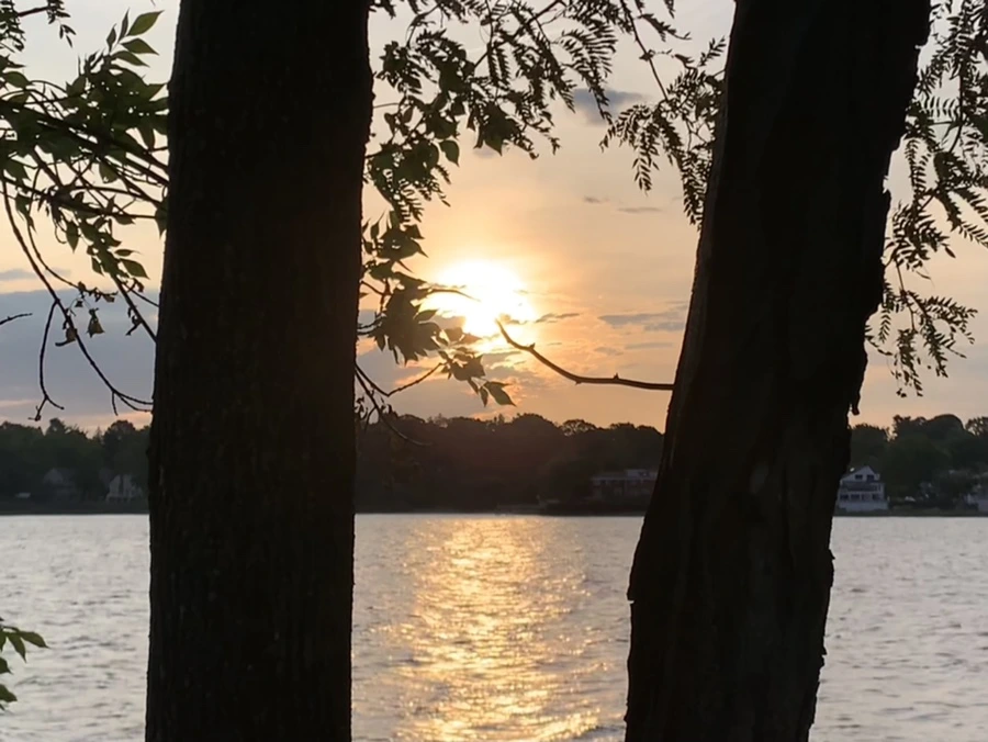 IMG_1796.jpg?type=w966