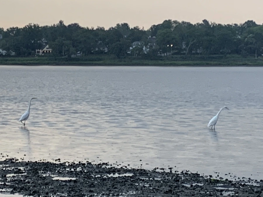 IMG_8143.jpg?type=w966