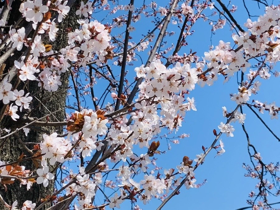 2xNuNMX1aqeLZa6PKq7W0Jhs84U