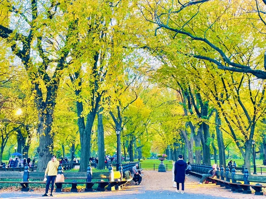 IMG_1465.jpg?type=w966