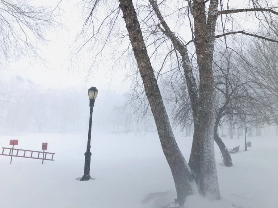 IMG_8803.jpg?type=w966