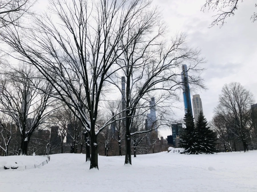 IMG_9532.jpg?type=w966