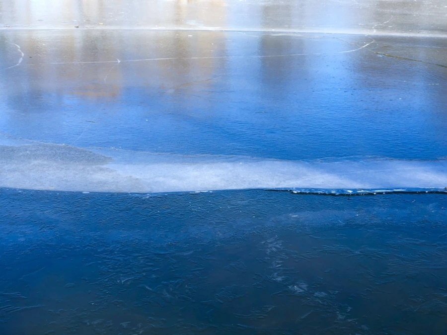 IMG_7910.jpg?type=w966