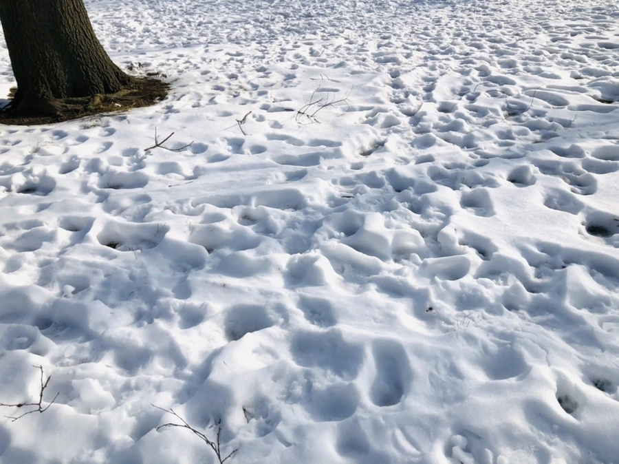 IMG_7744.jpg?type=w966